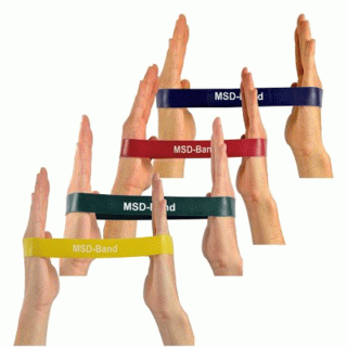 ΛΑΣΤΙΧΑ ΕΚΓΥΜΝΑΣΗΣ